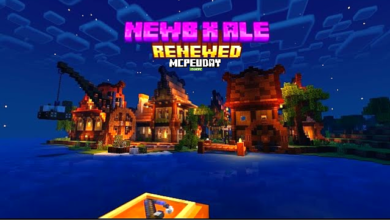 Newb X Ale Renewed Shader